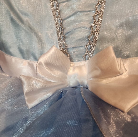 Disney Cinderella Halloween Costume - Picture 6 of 11